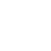 ZHW Crew Logo